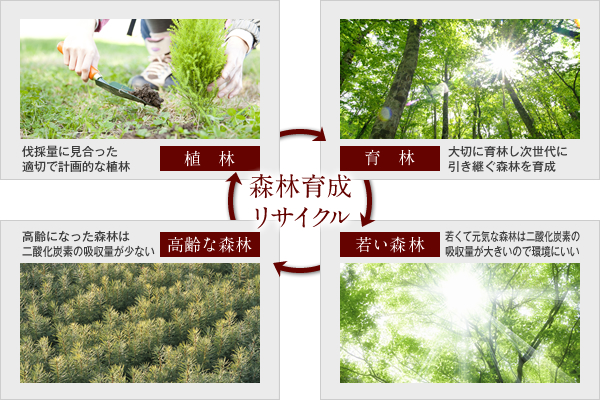 森林育成リサイクル