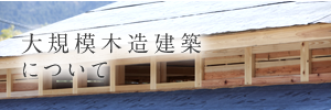 大規模木造建築について