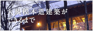 大規模木造建築ができるまで